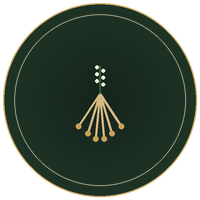 Shatavari root illustration